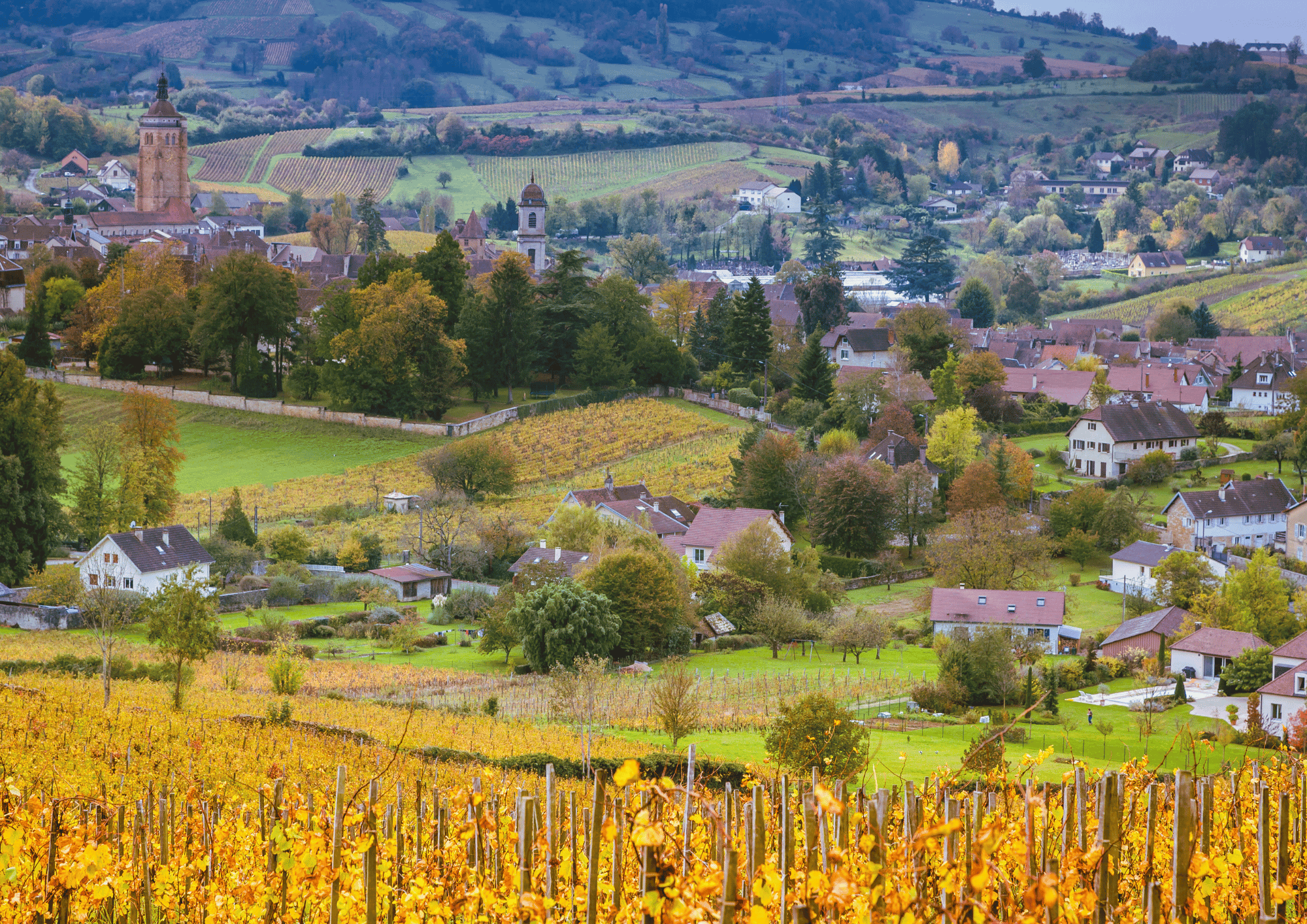 Votre consultant ADN Collectif en franche comté et suisse romande