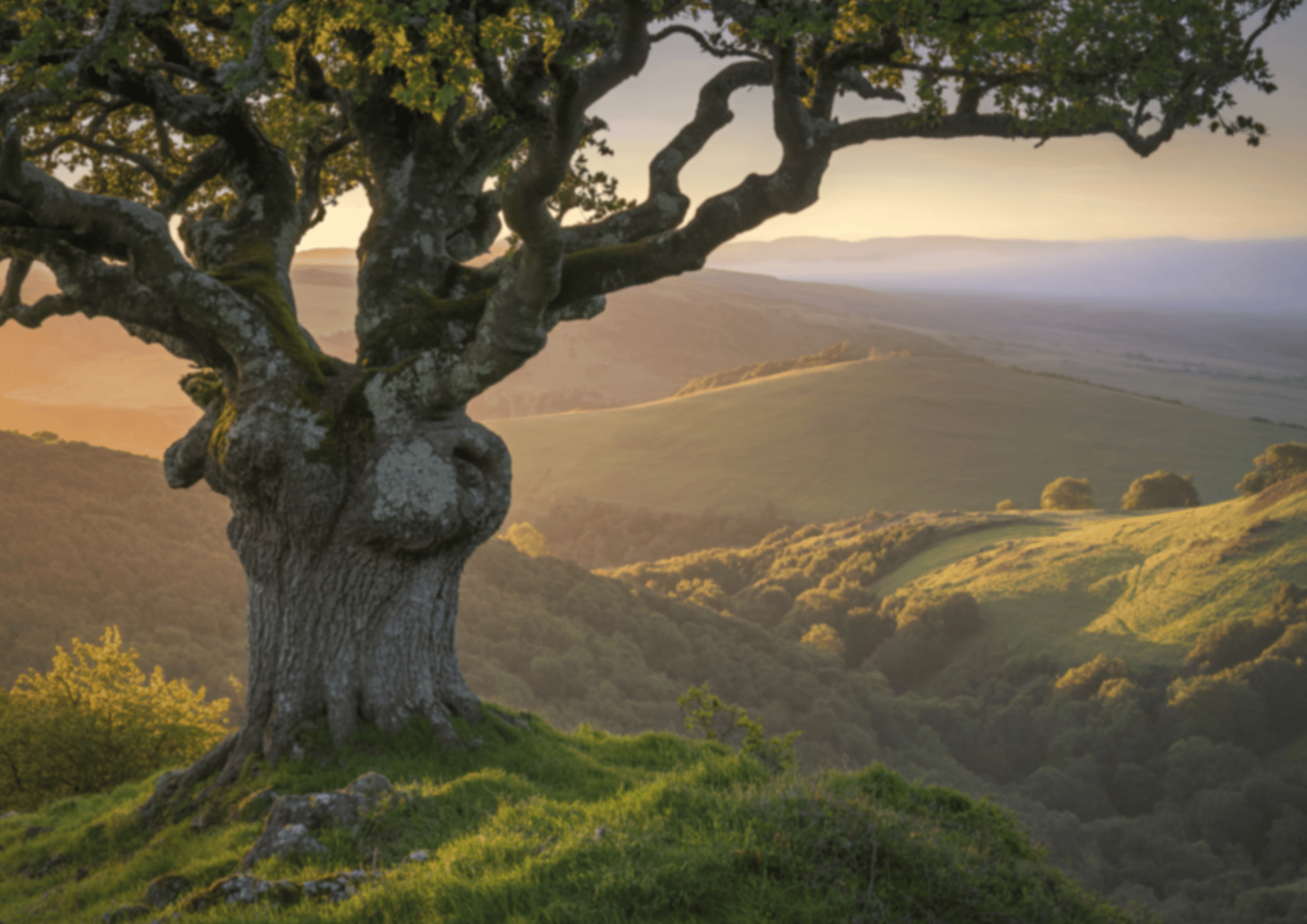 Résultats durables avec ADN Collectif